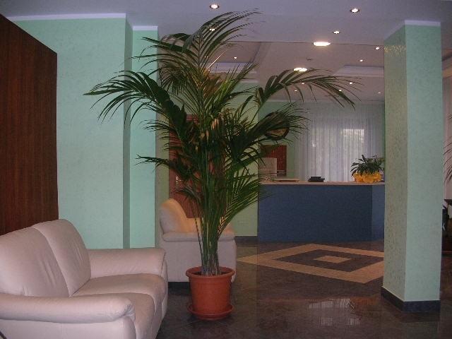 Sea Garden Hotel Acquappesa Bagian luar foto